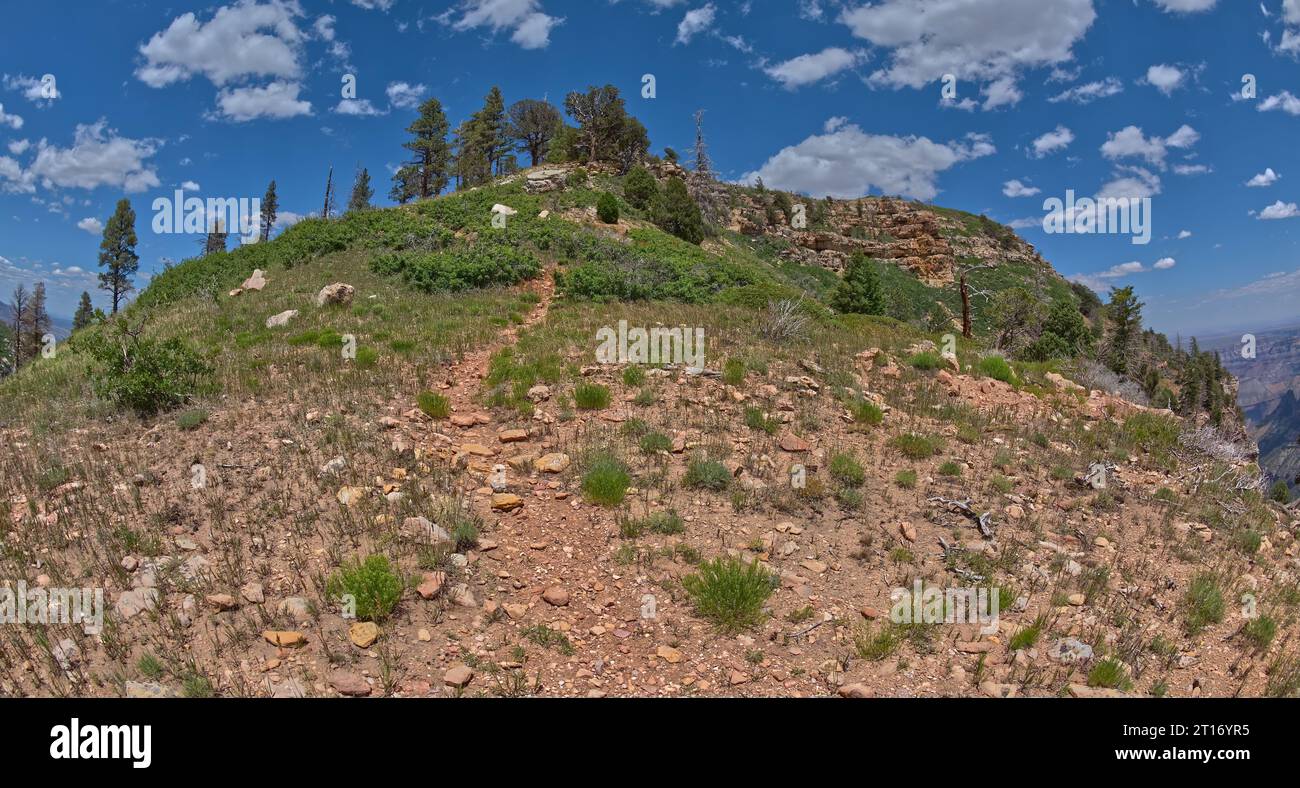 Sommet de Saddle Mountain qui borde le parc national du Grand Canyon en Arizona. Banque D'Images