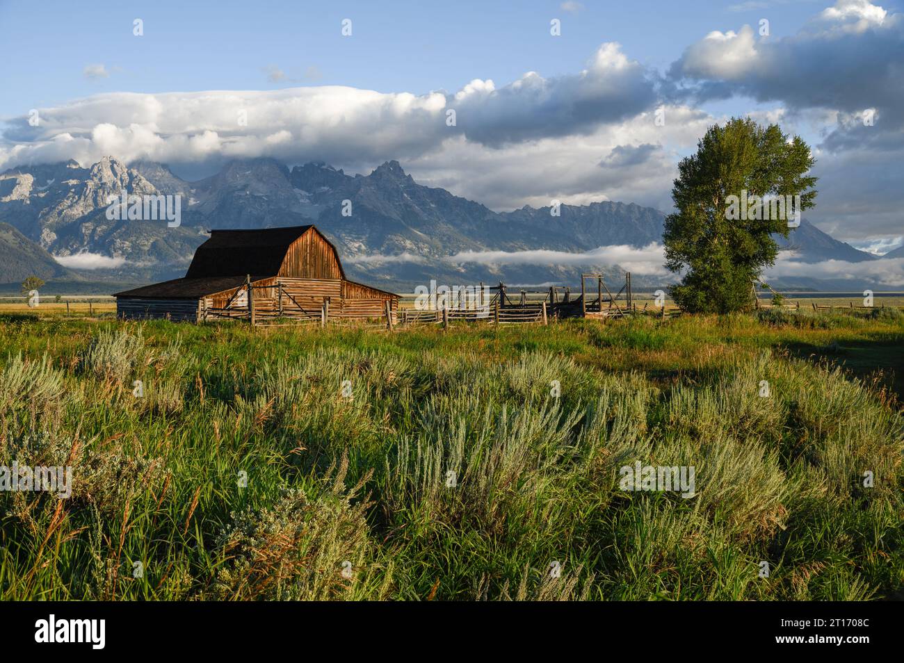 La grange à Mormon Row dans le parc national de Grand Tetons, Wyoming, États-Unis Banque D'Images