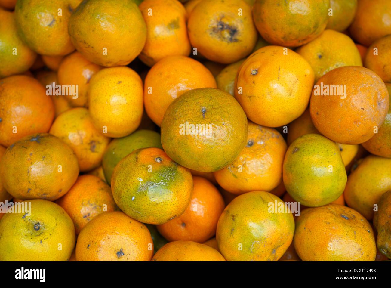 Une orange est un type d'agrumes que les gens mangent souvent. Les oranges sont une très bonne source de vitamine C. le jus d'orange est important. Banque D'Images