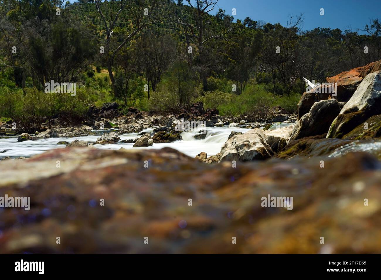 Une vue des Bells Rapids dans la région de Swan Valley près de Perth, Australie occidentale Banque D'Images