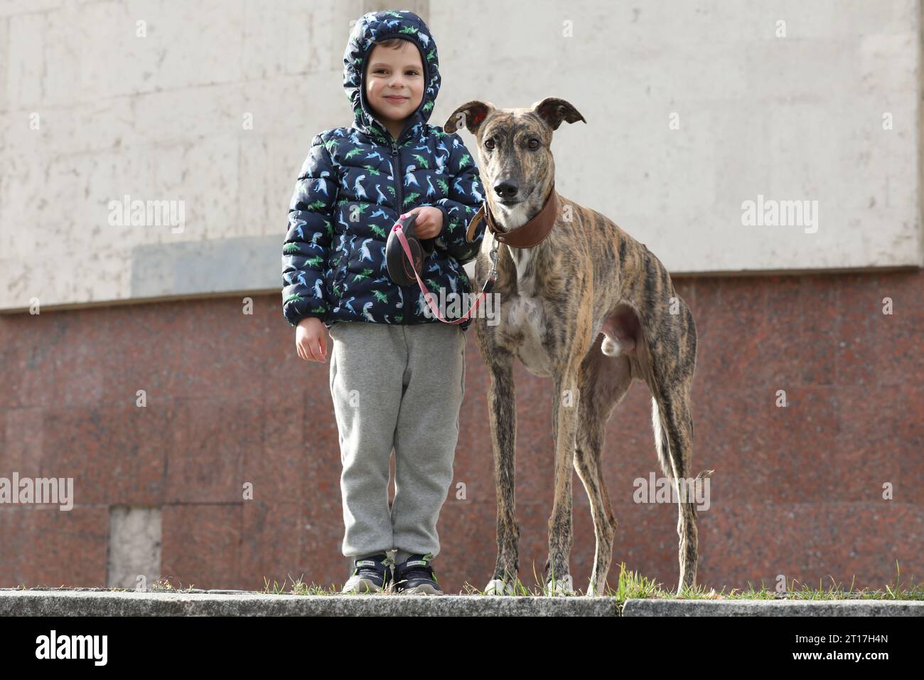 Enfant marchant avec chien en plein air. Grand chien de lévrier mignon marchant avec bébé garçon Banque D'Images