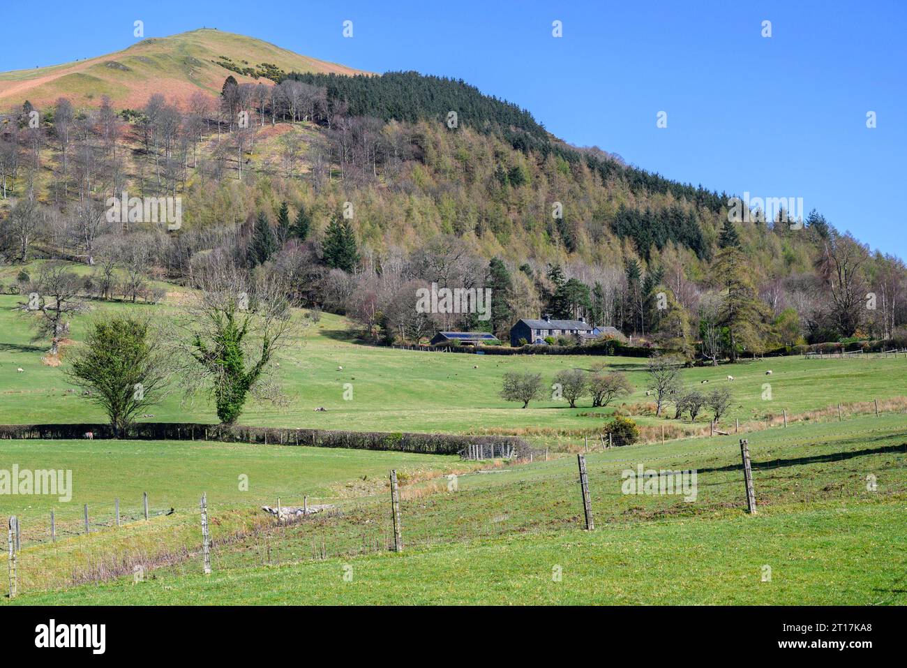 Cumbria, Angleterre, Royaume-Uni. Scène typique dans le North Western Lake District près de Bassenthwaite Banque D'Images