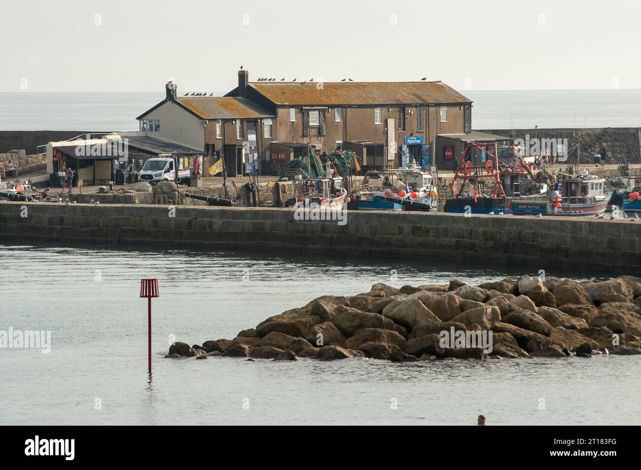 Lyme Regis, Dorset, Royaume-Uni. 9 octobre 2023. Le Cobb de Lyme Regis. C'était une belle journée ensoleillée à Lyme Regis dans le Dorset aujourd'hui. Il pleut plus tard dans la semaine. Crédit : Maureen McLean/Alamy Banque D'Images