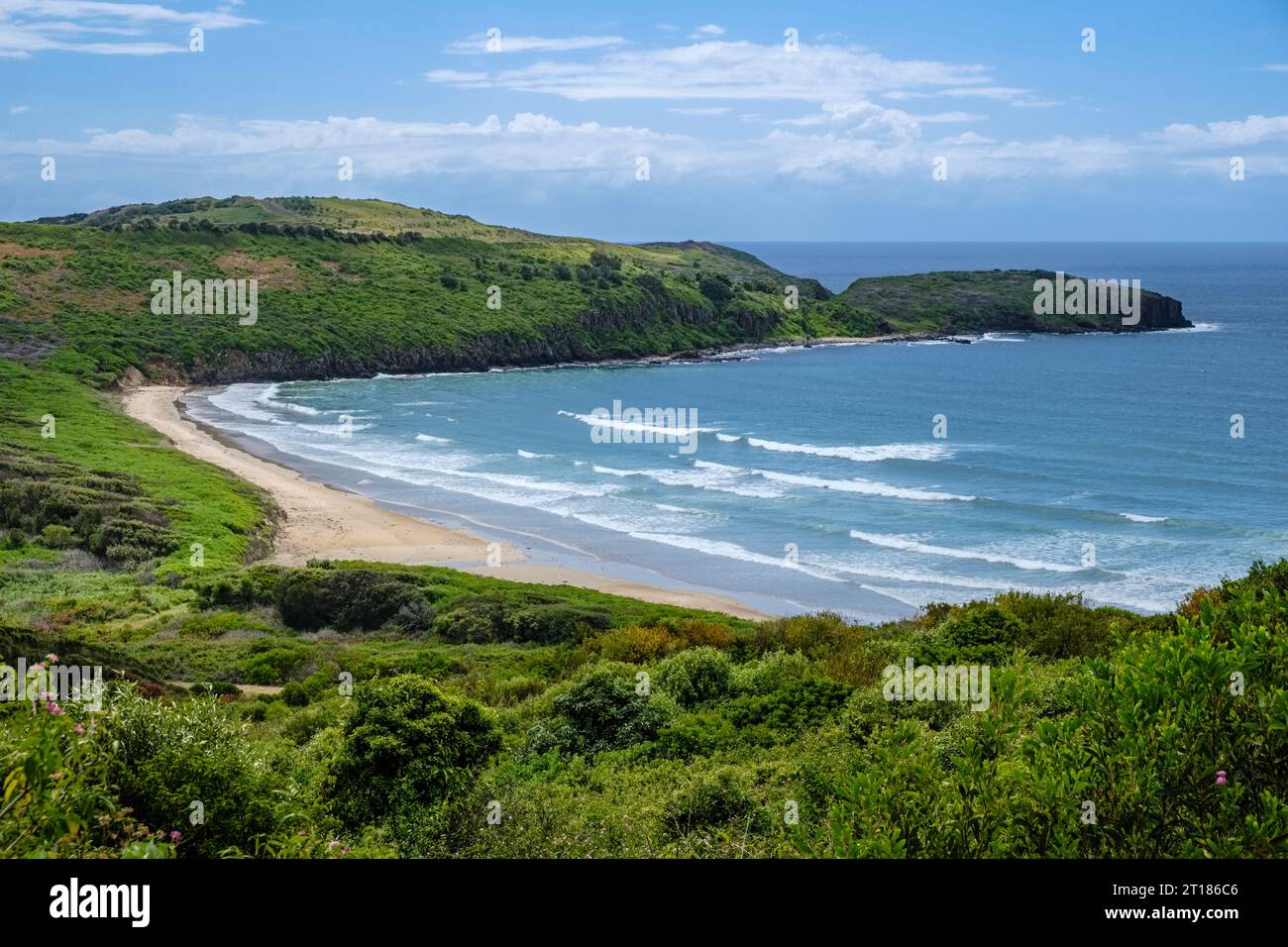 Plage de Killalea, parc régional de Killalea, Shell Cove, Nouvelle-Galles du Sud, Australie Banque D'Images