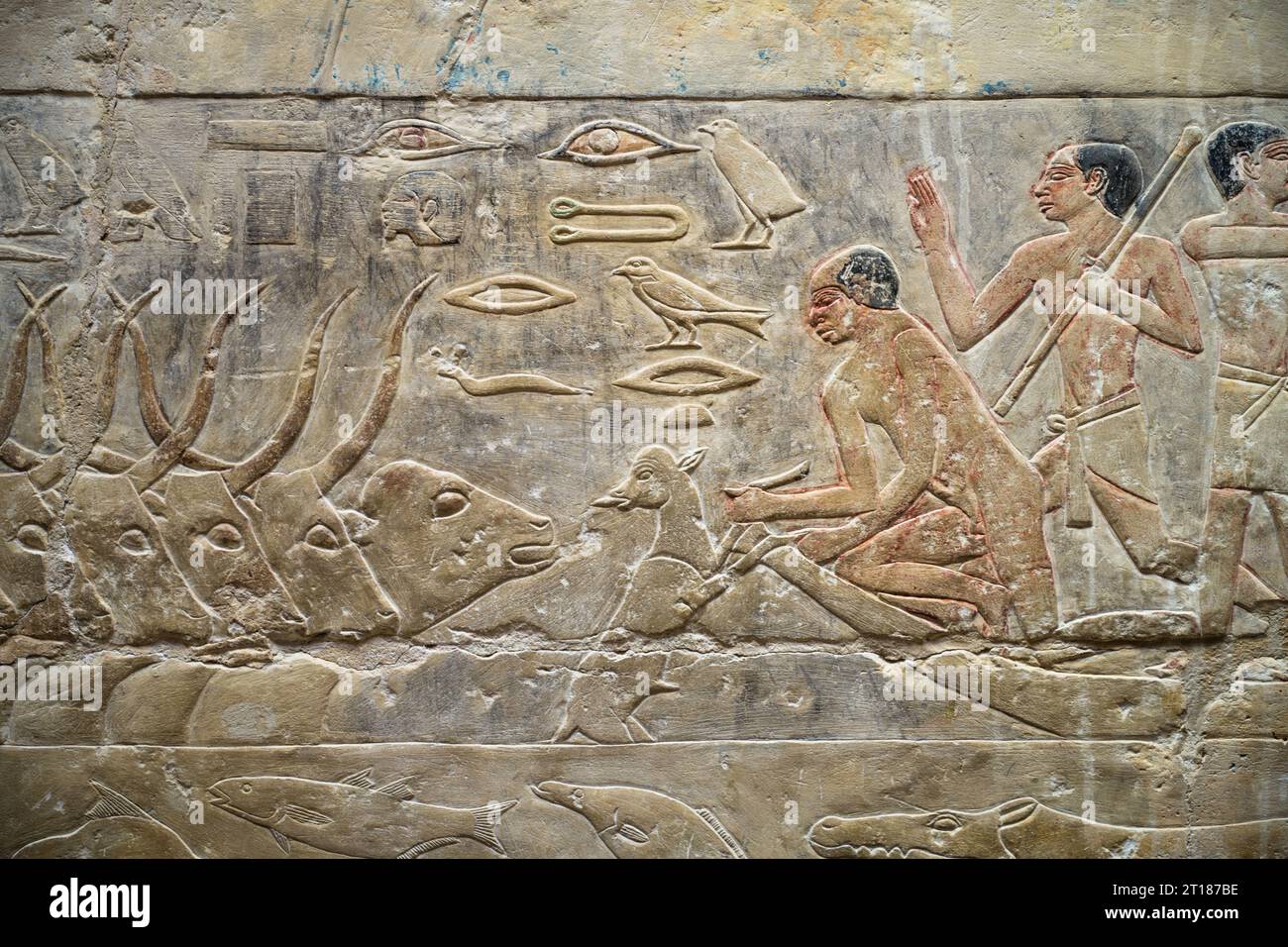 Männer in Boot auf dem Nil, relief in den Grabbauten des Idut, Unas-Ank und Inefert, Nekropole von Sakkara, Ägitten Banque D'Images