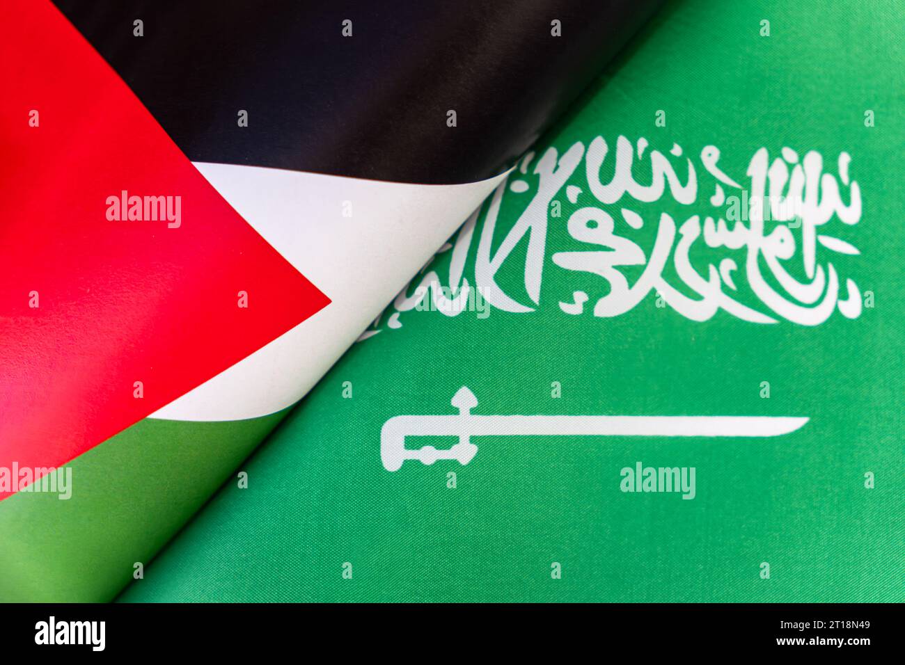 Fond des drapeaux de l'arabie saoudite, palestine. Le concept d'interaction ou de contre-action entre les deux pays. Relations internationales Banque D'Images