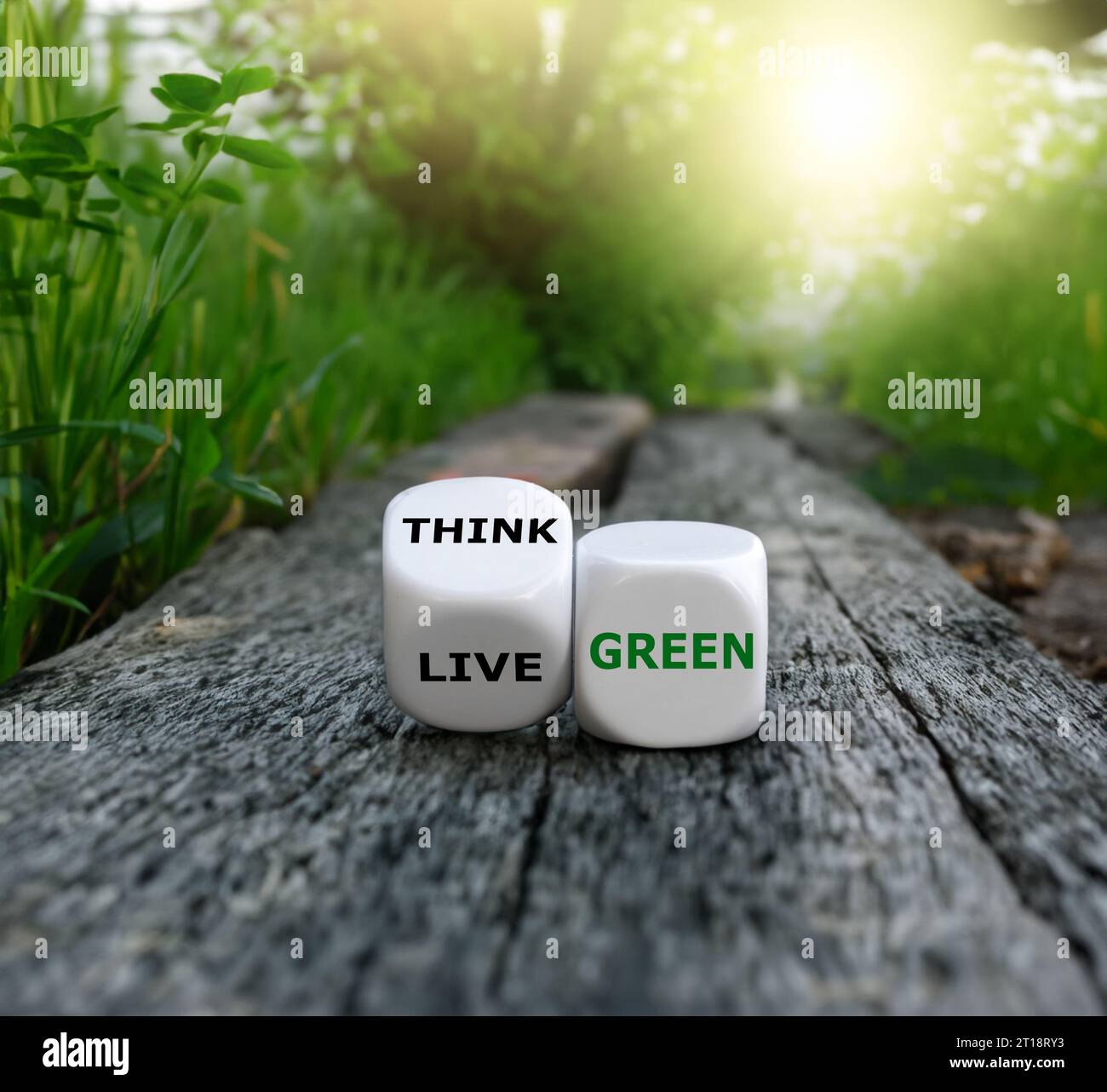 Les dés forment l'expression « pensez vert » et « vert vivant ». Banque D'Images
