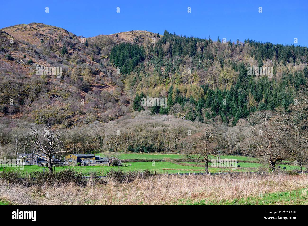 Cumbria, Angleterre, Royaume-Uni. Scène typique dans le North Western Lake District près de Bassenthwaite Banque D'Images