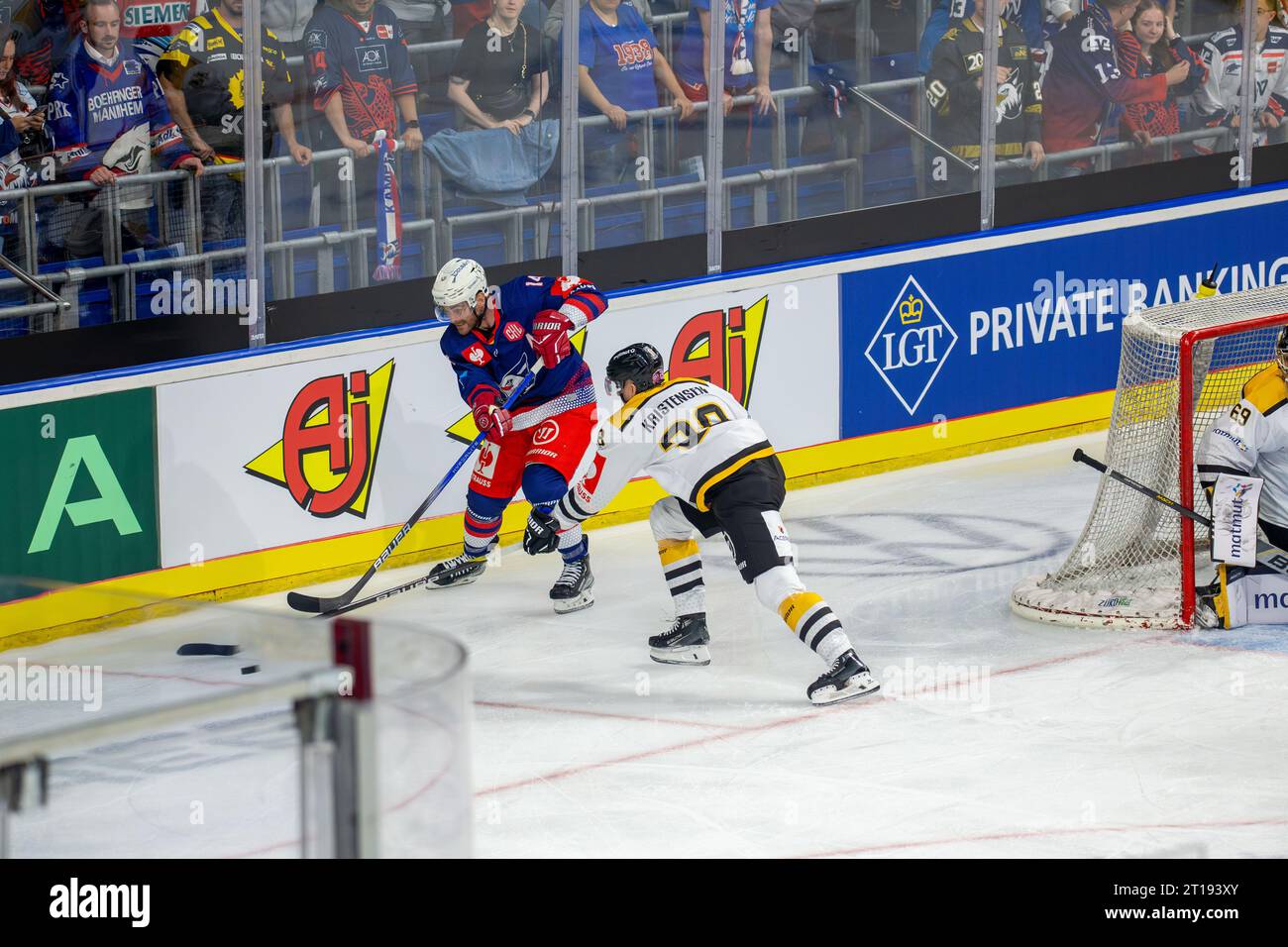 Spielszene Adler Mannheim gegen Rouen Dragons (Ligue des Champions de hockey) Banque D'Images