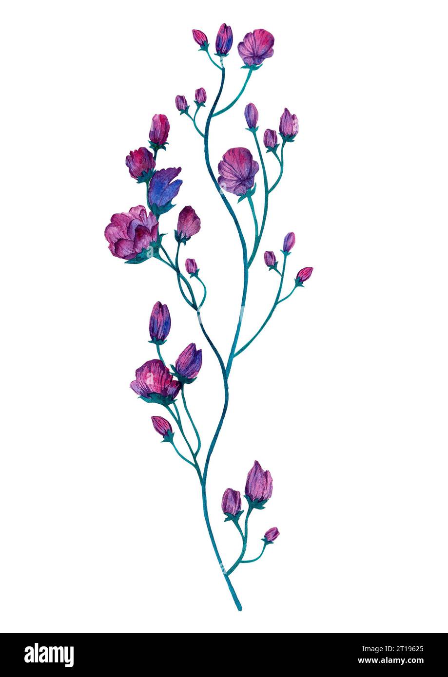 Violet aquarelle Flower rond bouquet joli isolé sur un fond blanc. Banque D'Images