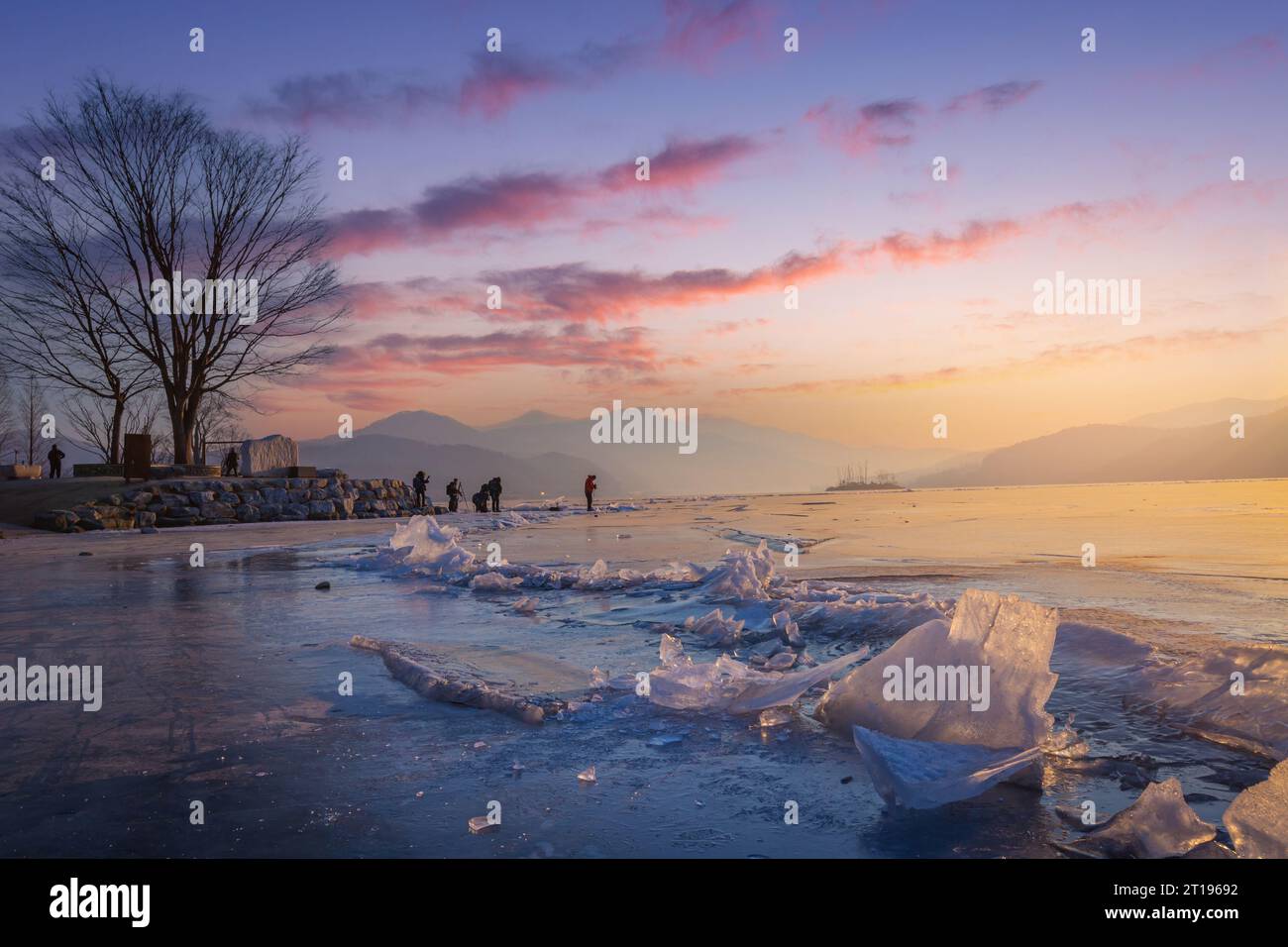 Lac gelé en Corée du Sud en hiver au lever du soleil et grands arbres en arrière-plan à Dumulmeori, Yangpyeong, Corée du Sud. Banque D'Images