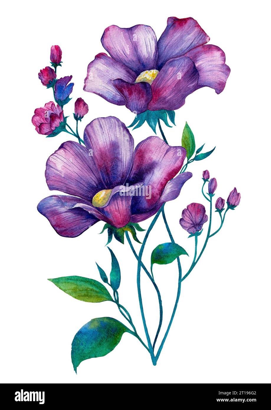 Violet aquarelle Flower rond bouquet joli isolé sur un fond blanc. Banque D'Images