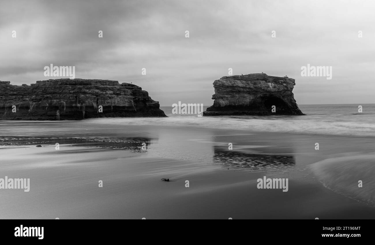 Photographie de paysage et macro - NorCal Banque D'Images