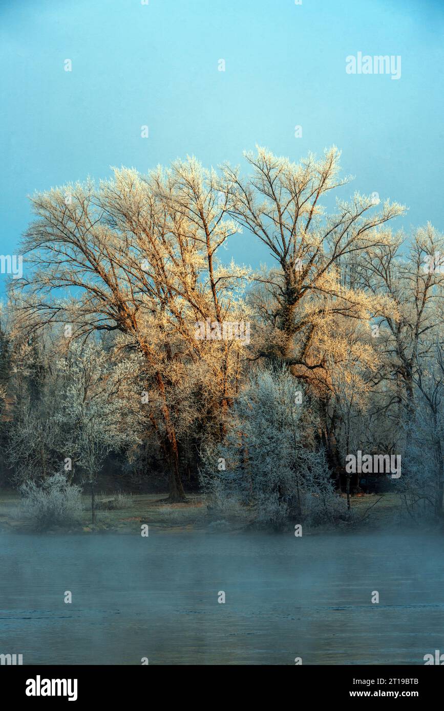 L'aube jaillit du gel sur les arbres à Neuville-sur-Ain, France Banque D'Images
