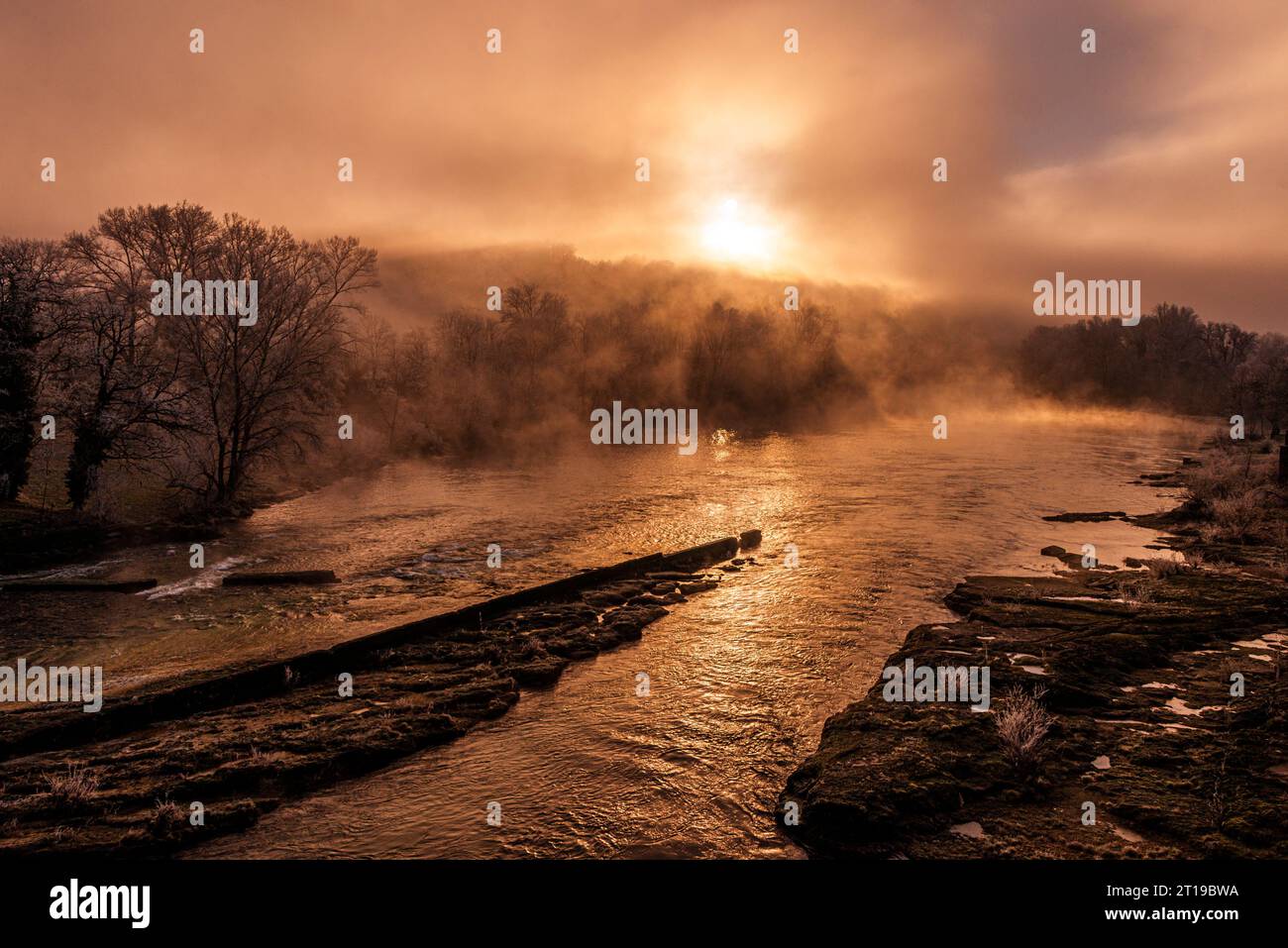 L'aube jaillit du gel sur les arbres à Neuville-sur-Ain, France Banque D'Images