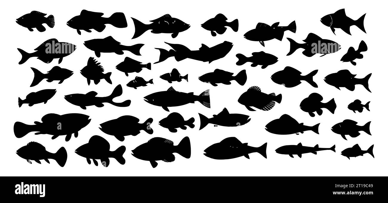 Poisson silhouette noir ensemble isolé sur fond blanc. Illustration vectorielle Illustration de Vecteur