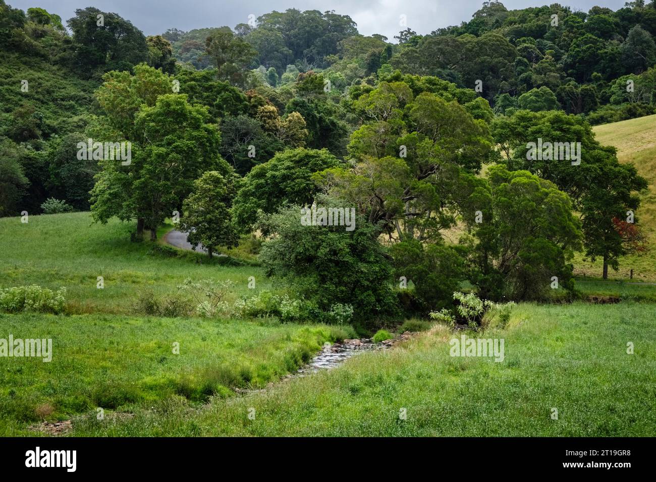 Belle campagne australienne - une scène pastorale à côté de Fountaindale Creek, près de Kiama, Nouvelle-Galles du Sud, Australie Banque D'Images