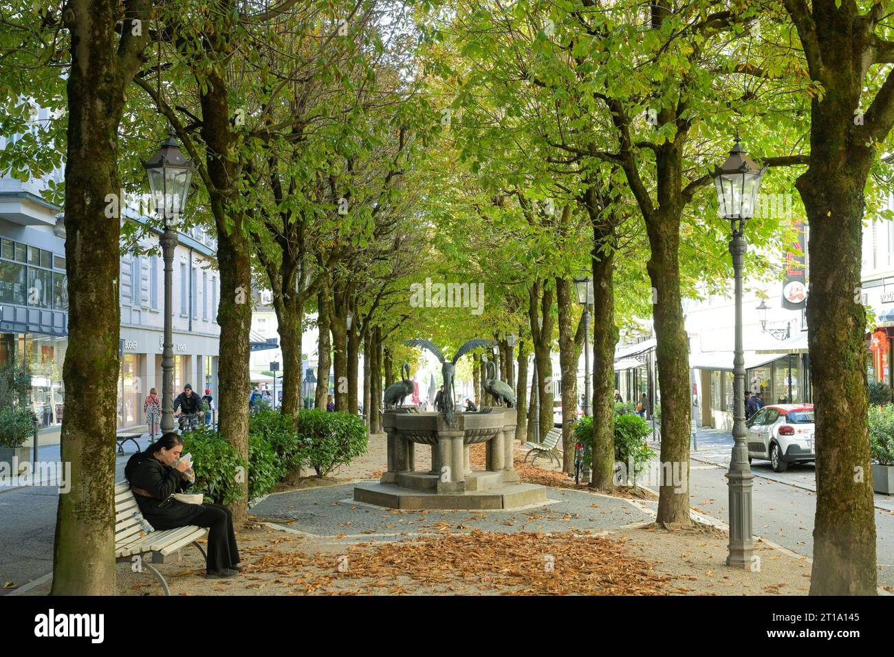 Mittelstreifen, Sophienstraße, Baden-Baden, Bade-Wurtemberg, Allemagne Banque D'Images