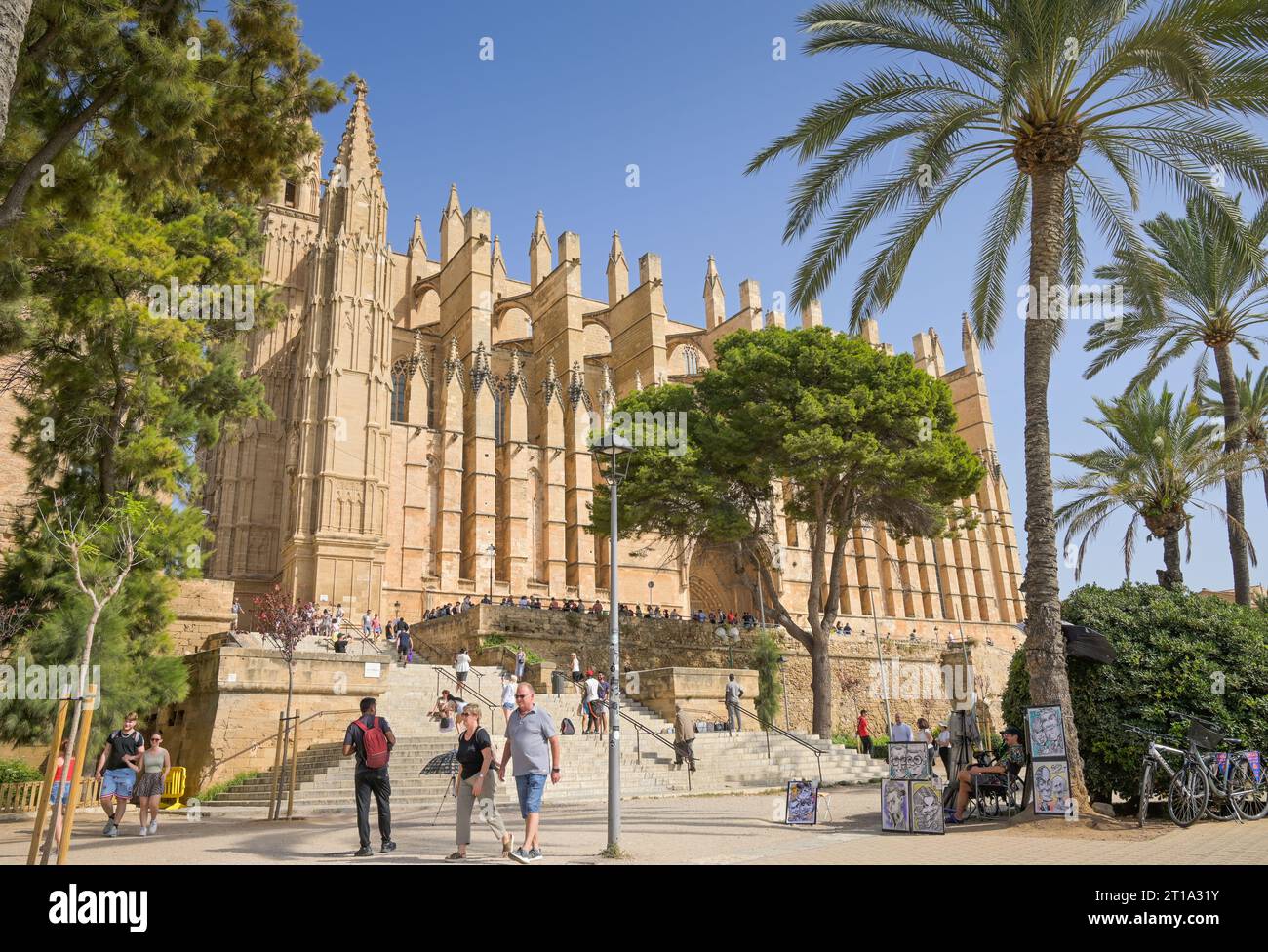 Südansicht der Kathedrale, Catedral de Palma de Mallorca, Palma, Majorque, Espagnol Banque D'Images