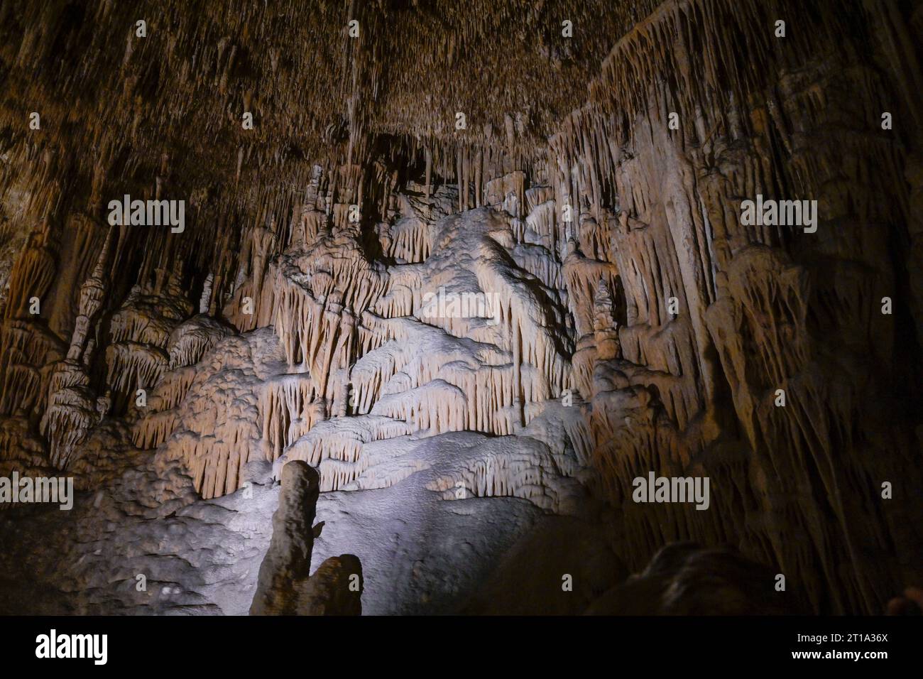 Tropfsteinhöhlen Cuevas del Drach, Porto Cristo, Mallorca, Espagnol Banque D'Images