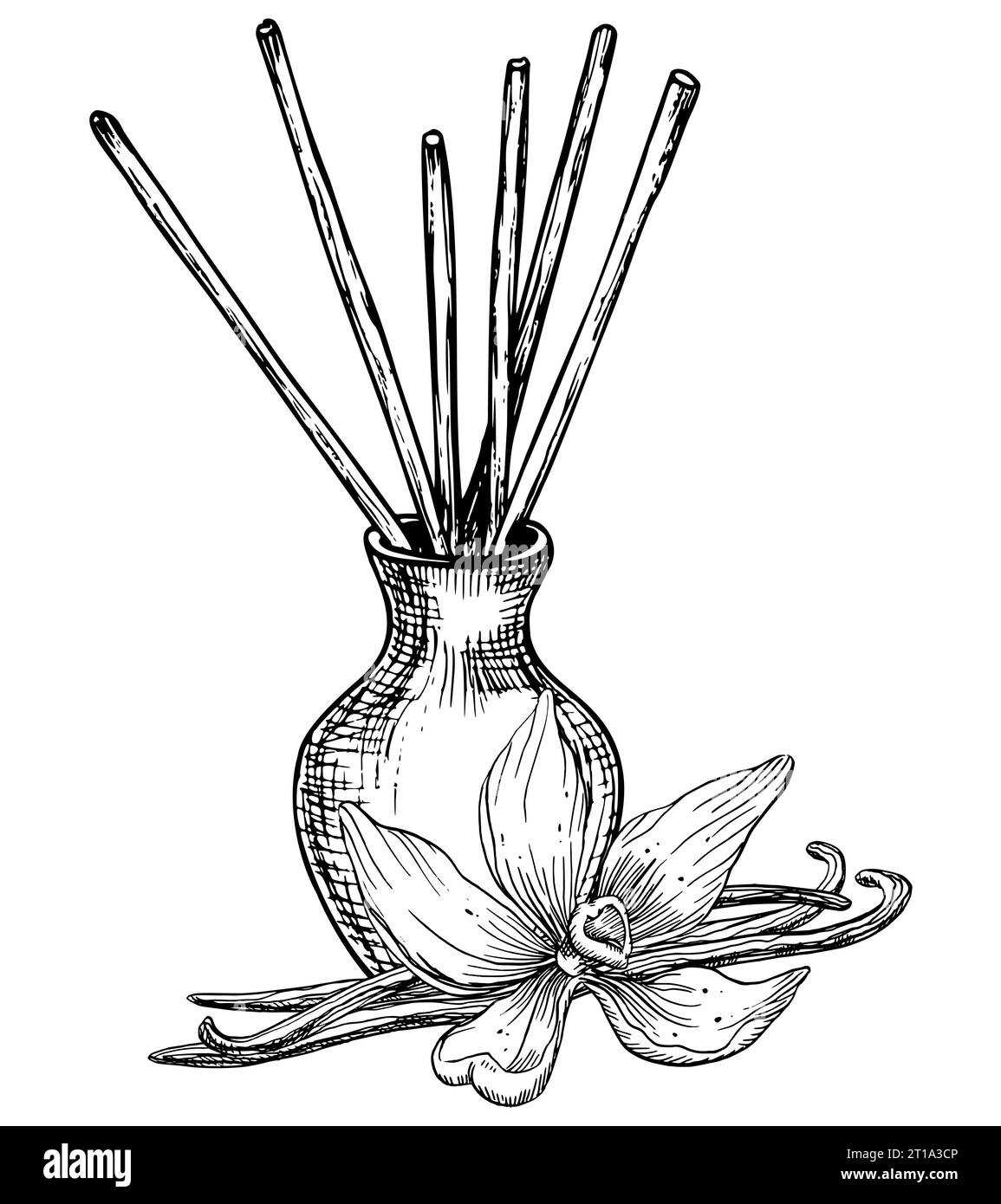 Diffuseur avec fleurs de vanille et bâtons. Illustration vectorielle dessinée à la main sur fond isolé blanc. Dessin linéaire de rafraîchisseur pour la parfumerie et l'aromathérapie. Croquis de parfum essentiel pour la maison Illustration de Vecteur