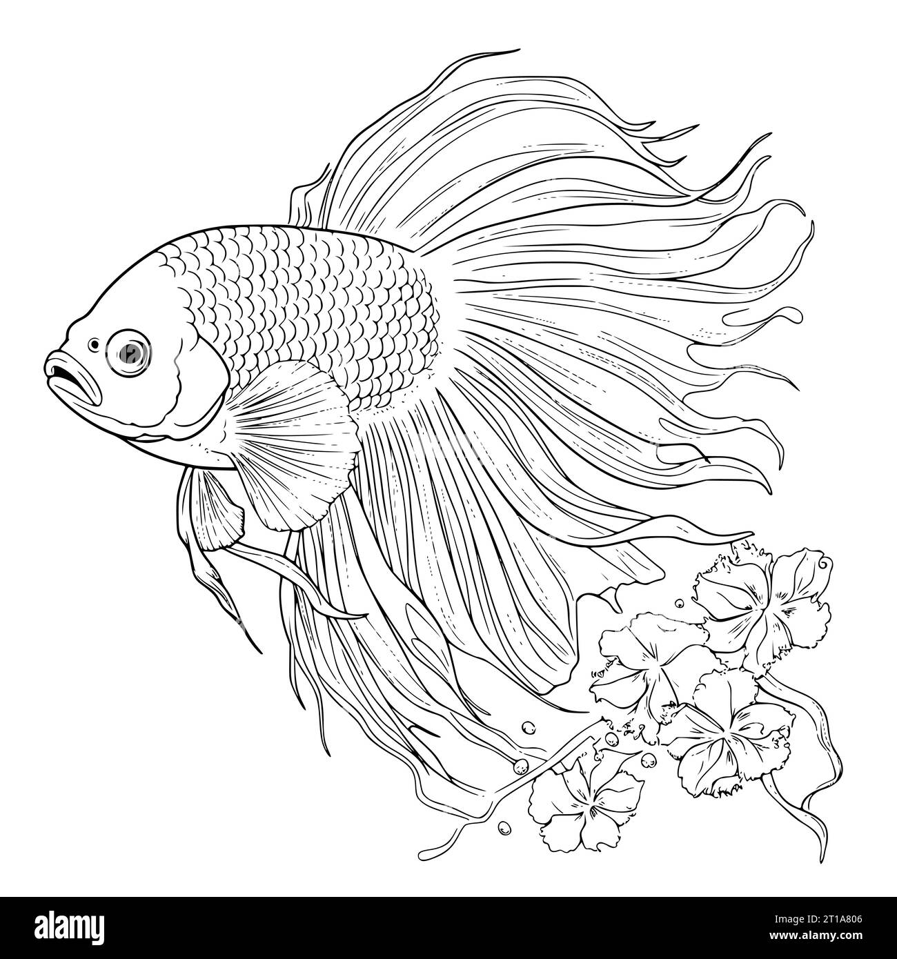 Betta Fish Coloriage pages pour les enfants Illustration de Vecteur