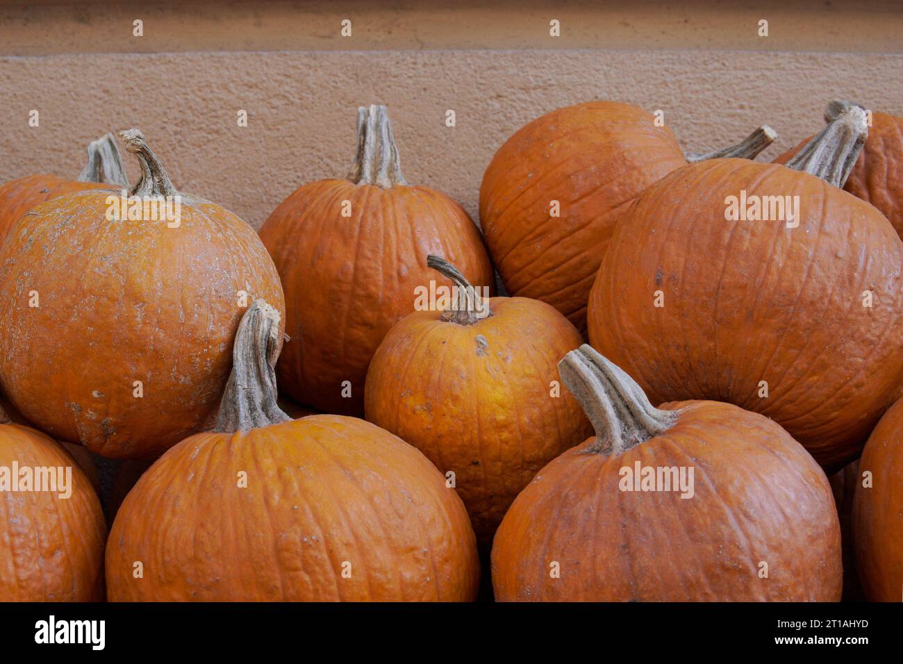 citrouilles entières rondes pour halloween Banque D'Images