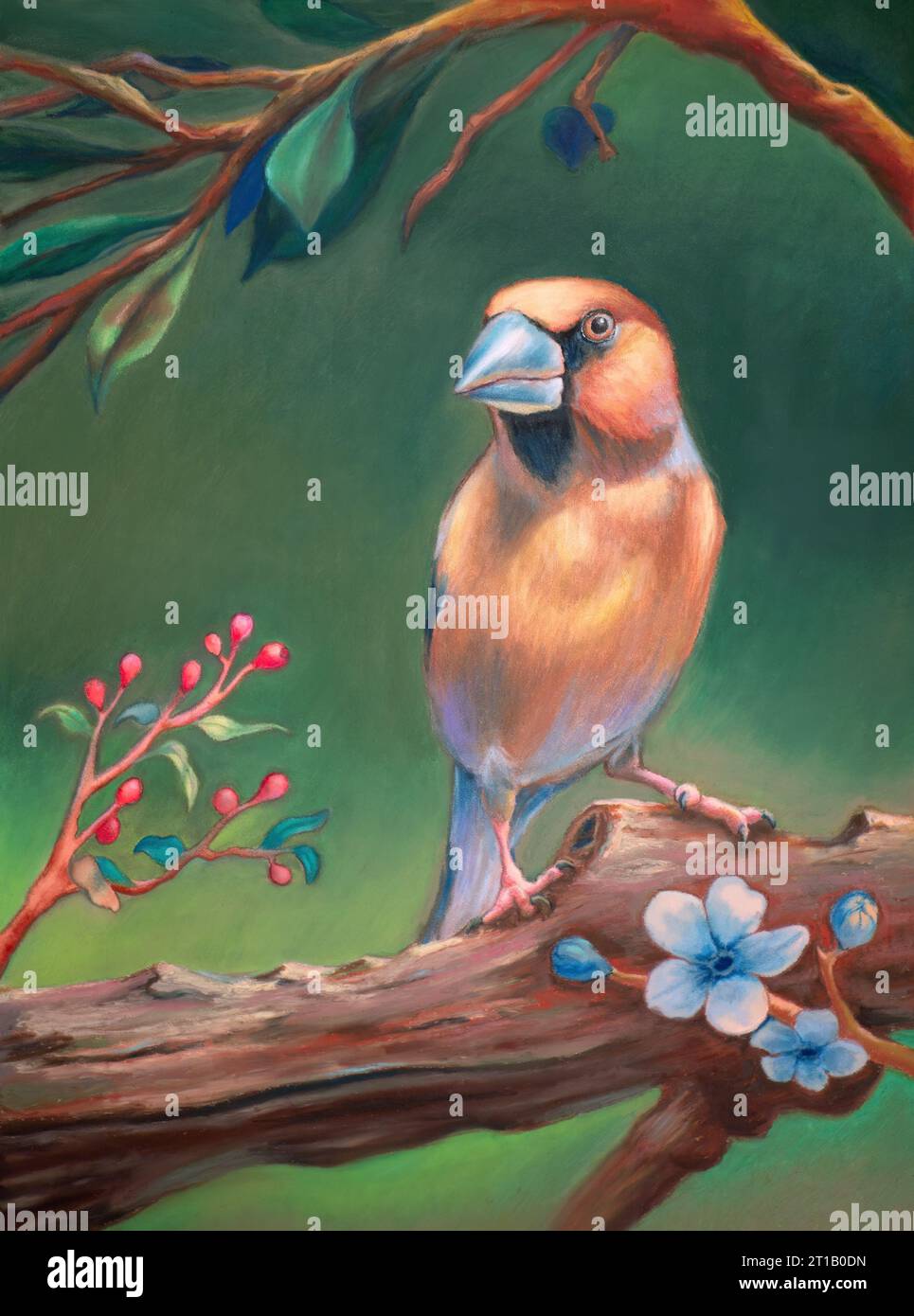 Portrait Hawfinch avec baies et fleurs. Peinture traditionnelle sur papier. Banque D'Images