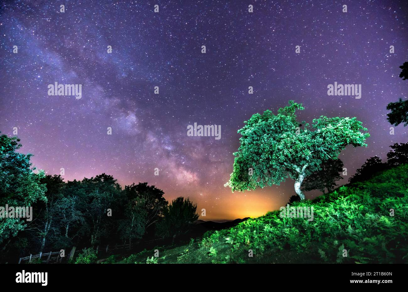 Un bel arbre sous la belle voie lactée sur le mont Erlaitz dans la ville d'Irun, Guipuzcoa. Pays Basque. Photographie de nuit en juin Banque D'Images