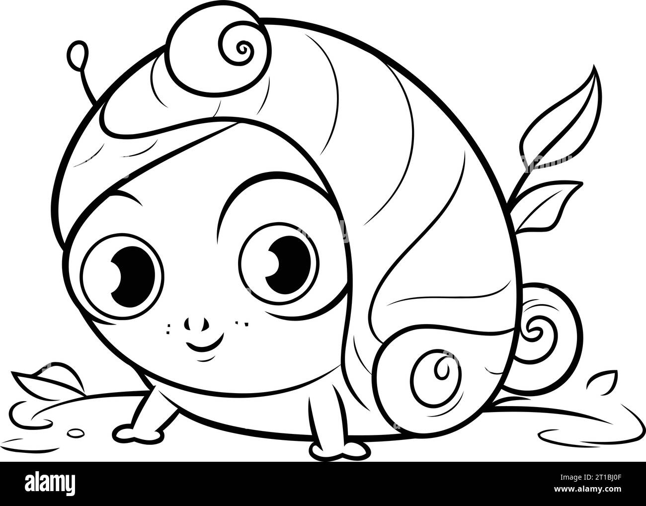 Mollusc mollusca snail Banque d'images vectorielles - Alamy, حجم الصورة 1300x1018