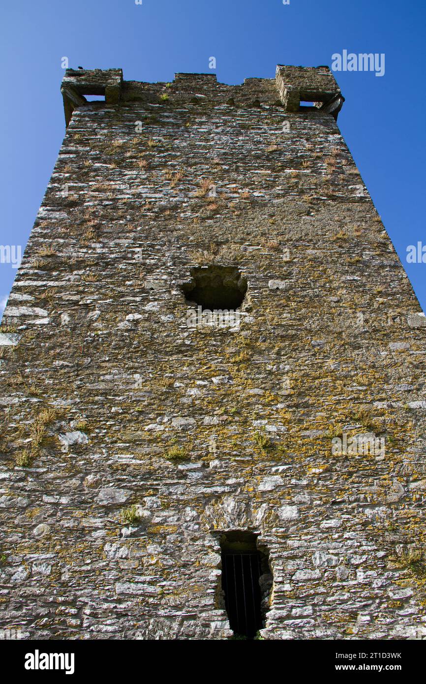 Haute tour des ruines du château médiéval Donovan contre un ciel bleu, West Cork, Irlande Banque D'Images