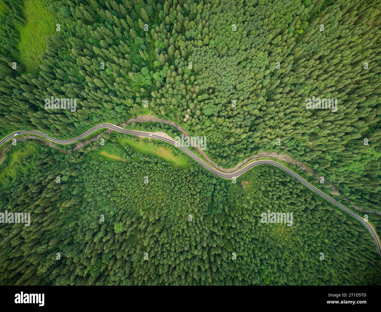 vue aérienne de haut en bas d'une forêt de conifères à travers laquelle passe une route sinueuse dans les montagnes Banque D'Images