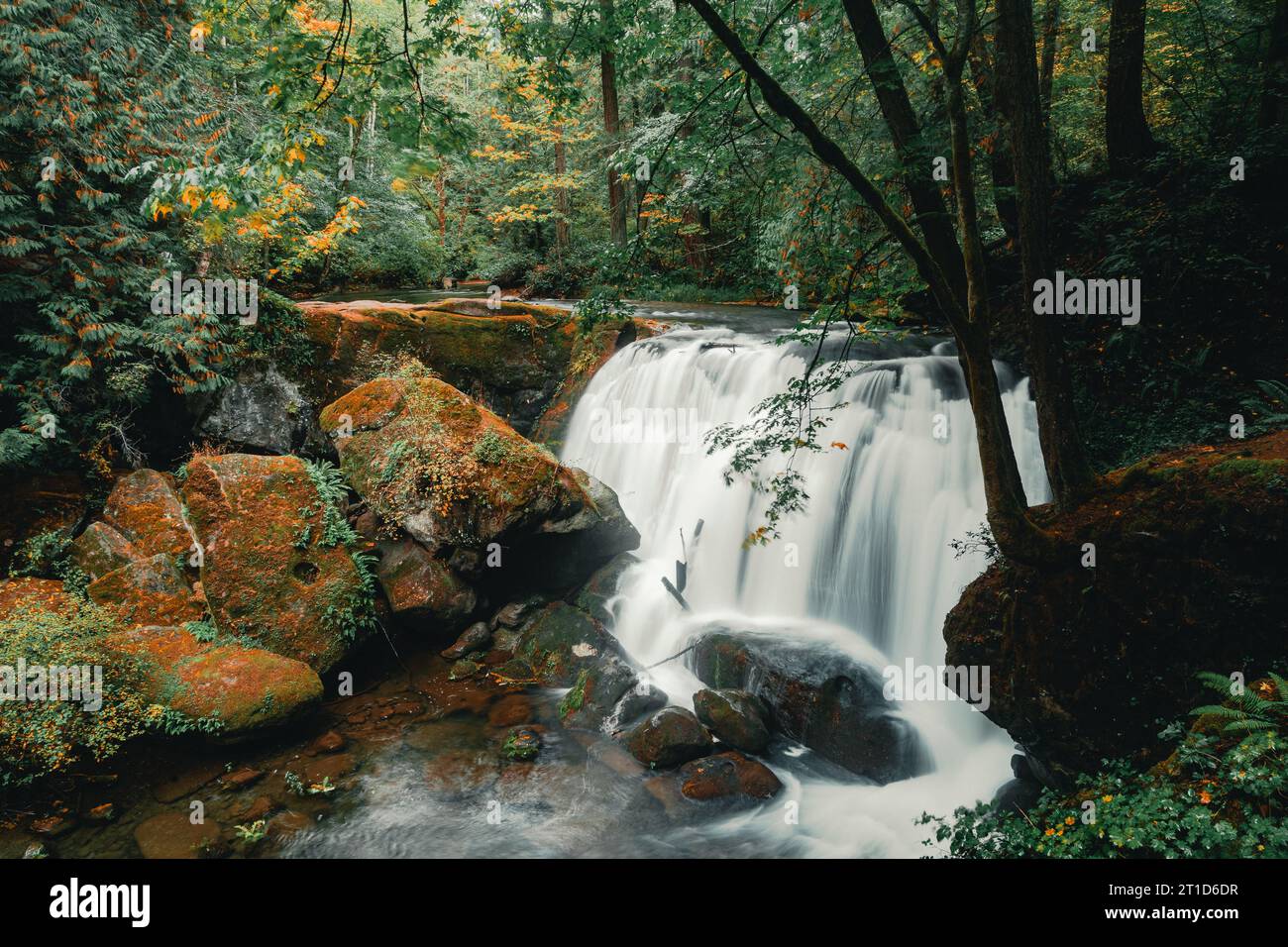 Cascade qui coule sur Giants Rocks avec des couleurs d'automne à Whatcom Falls Banque D'Images