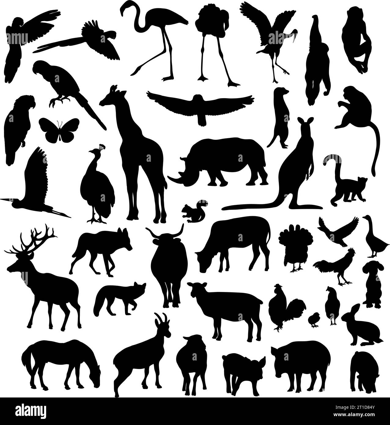 Silhouettes animaux et oiseaux. Collection d'animaux tropicaux sauvages, d'oiseaux de ferme et domestiques et d'animaux forestiers. Illustration vectorielle. Main à tirage isolé Illustration de Vecteur