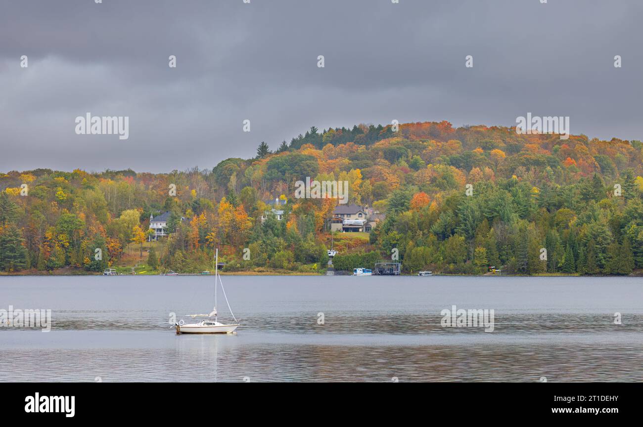 Couleurs d'automne le long de la rivière Gatineau reflétées dans l'eau, Québec, Canada Banque D'Images