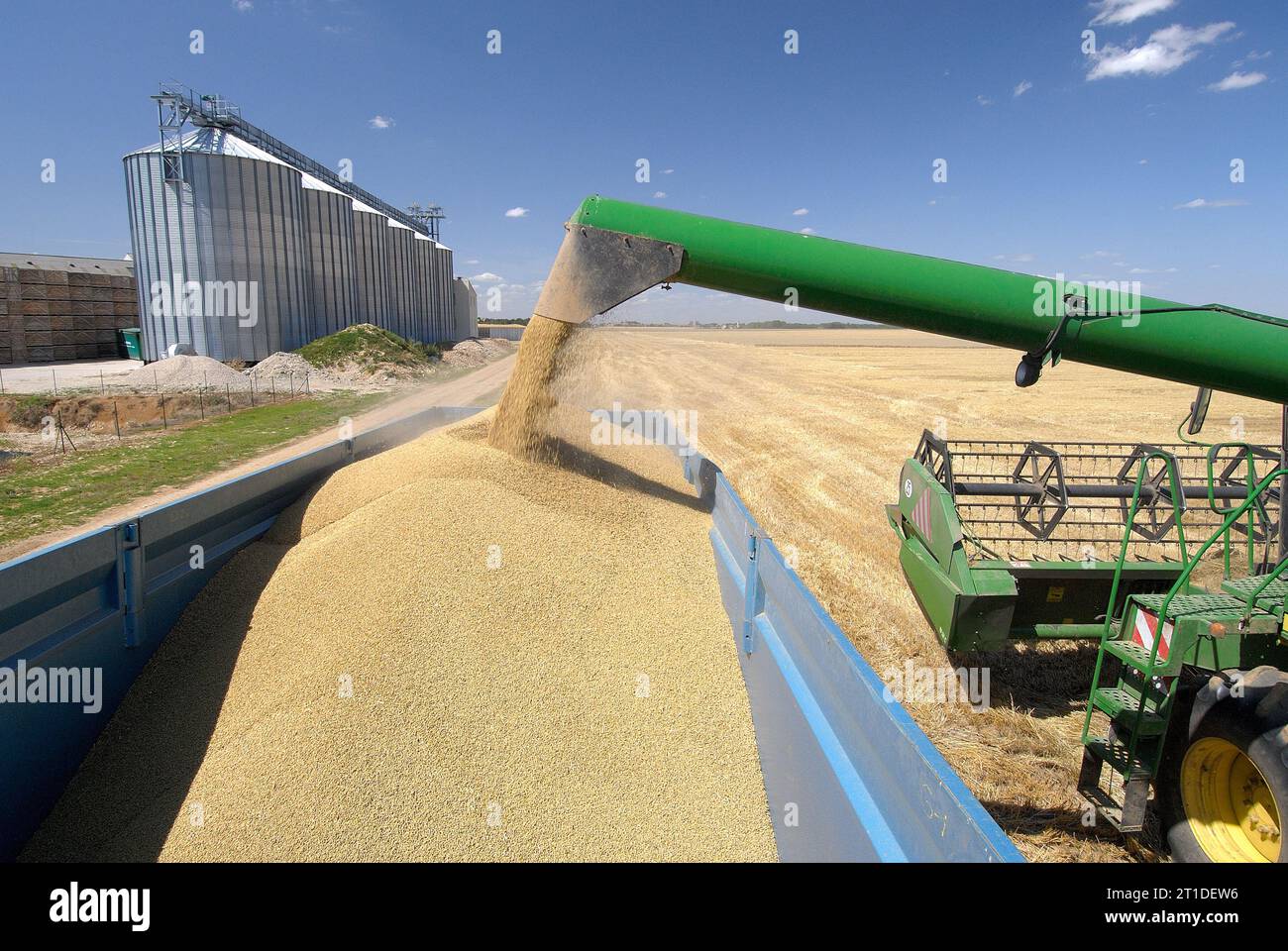 Récolte d'orge : récolte d'été dans le département de l'Essonne (région parisienne). Moissonneuse-batteuse et silos coopératifs en arrière-plan. Banque D'Images