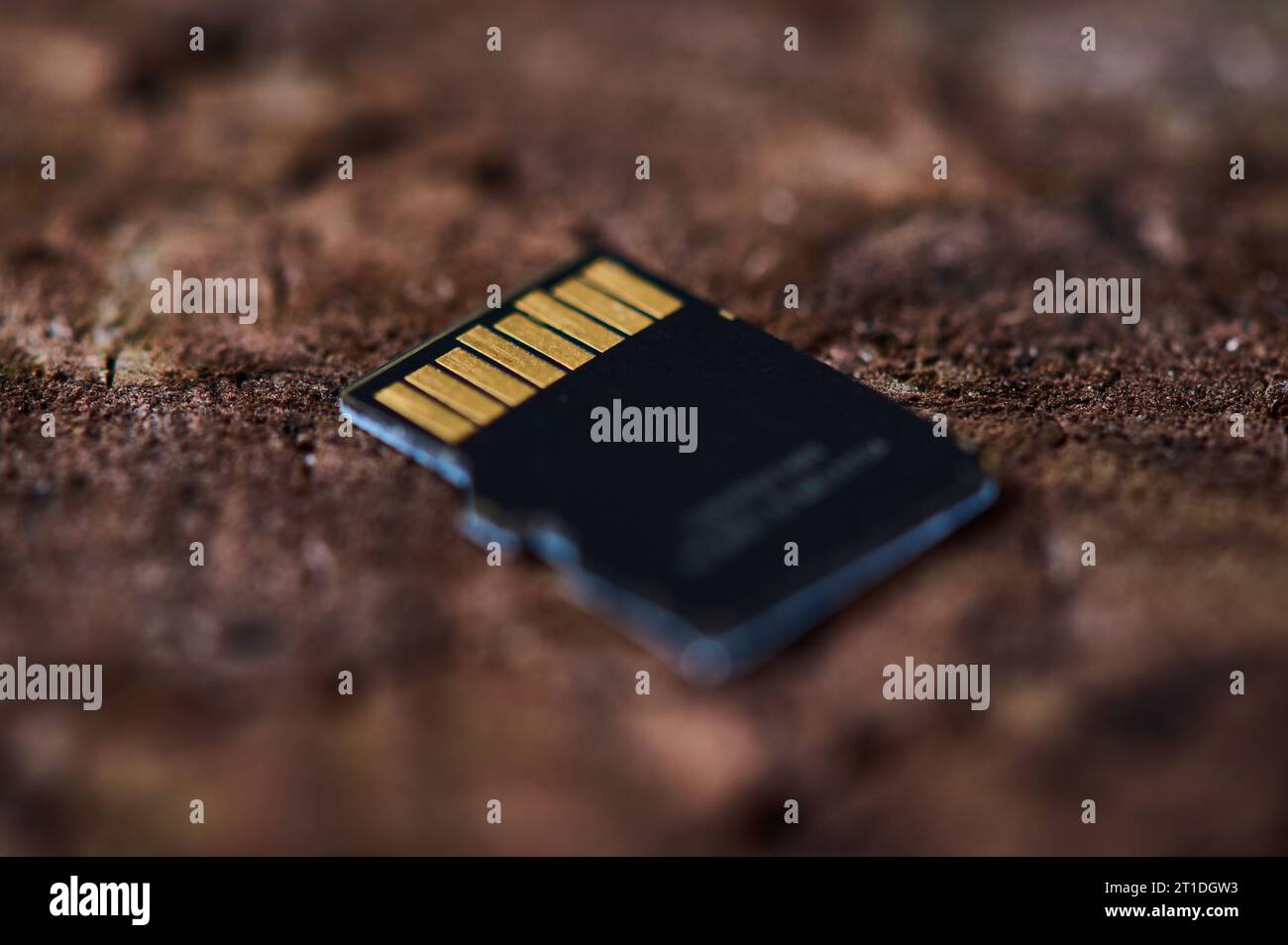 carte mémoire micro sd sur fond en bois extrême gros plan Banque D'Images