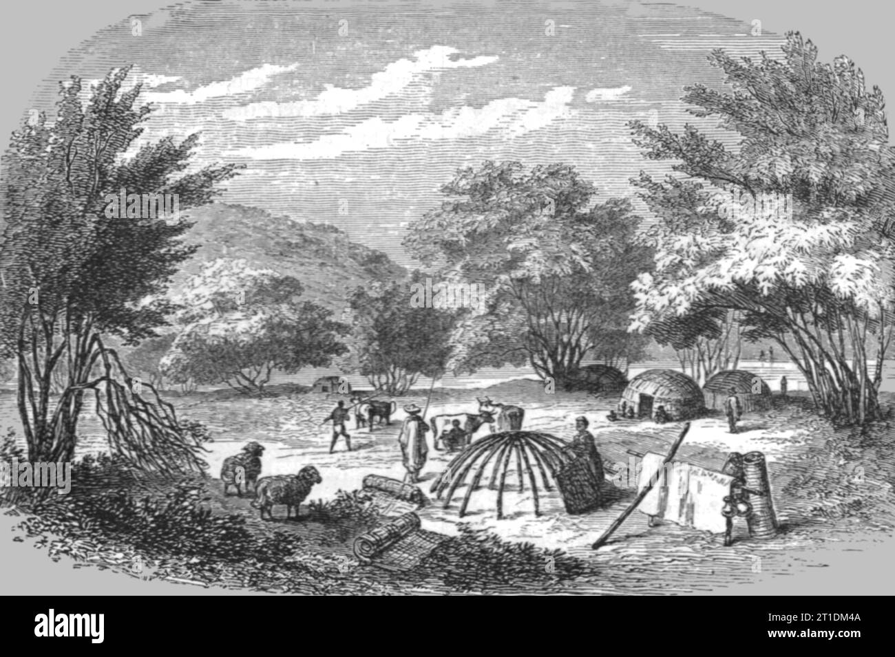 'A Kafir Kraal ; quelques mots sur Natal et Zululand', 1875. Extrait de 'Voyages illustrés' de H.W. Bates. [Cassell, Petter et Galpin, c1880, Londres] et Galpin. Banque D'Images