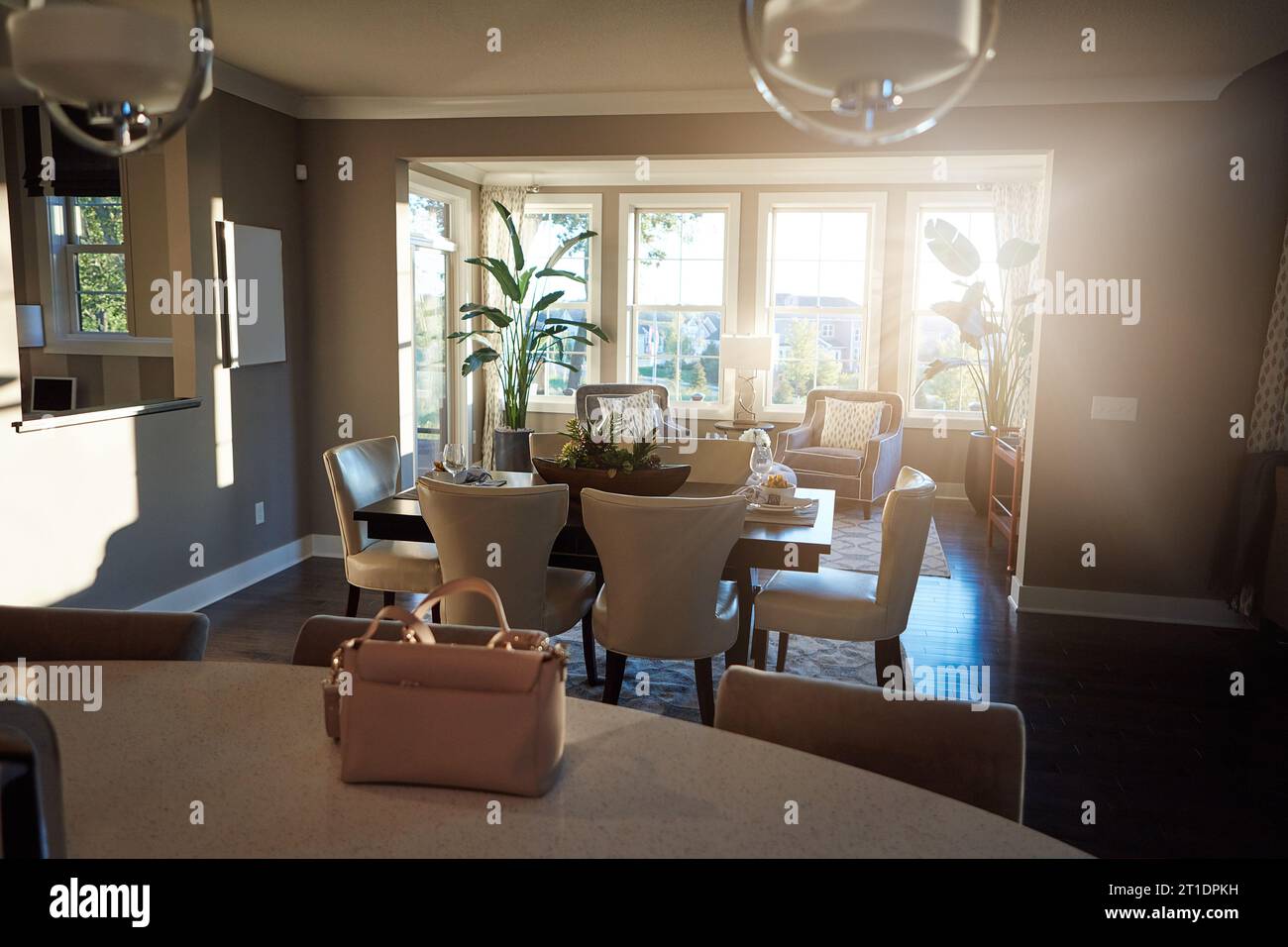 Intérieur de la maison, salon élégant et maison moderne avec chaises, plantes et tapis dans l'espace. Mobilier propre, minimal et de luxe dans une ouverture organisée Banque D'Images