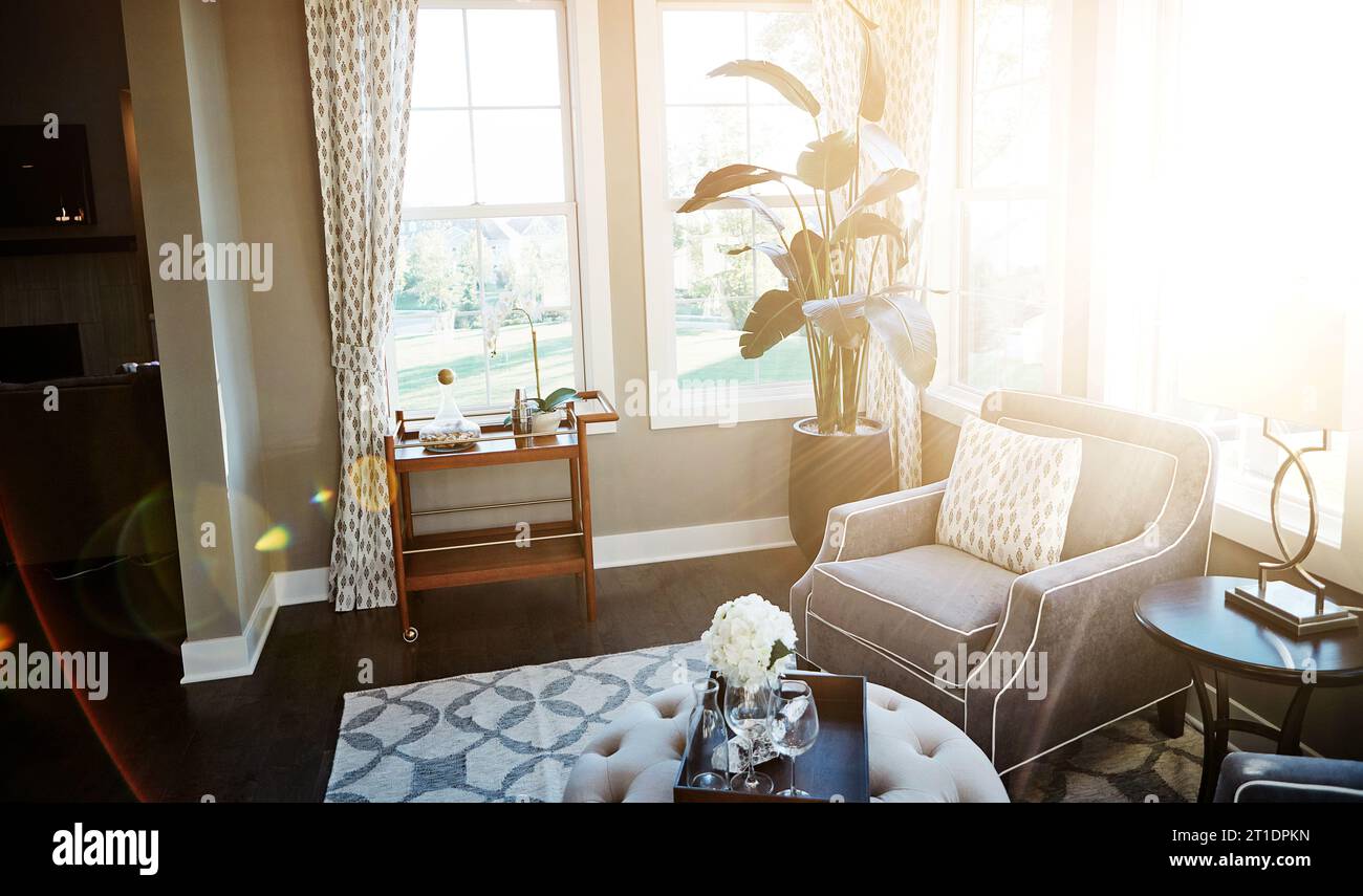 Intérieur de la maison, salon de luxe et maison moderne avec chaises, plantes et tapis dans l'espace. Mobilier propre, minimal et élégant dans une ouverture organisée Banque D'Images