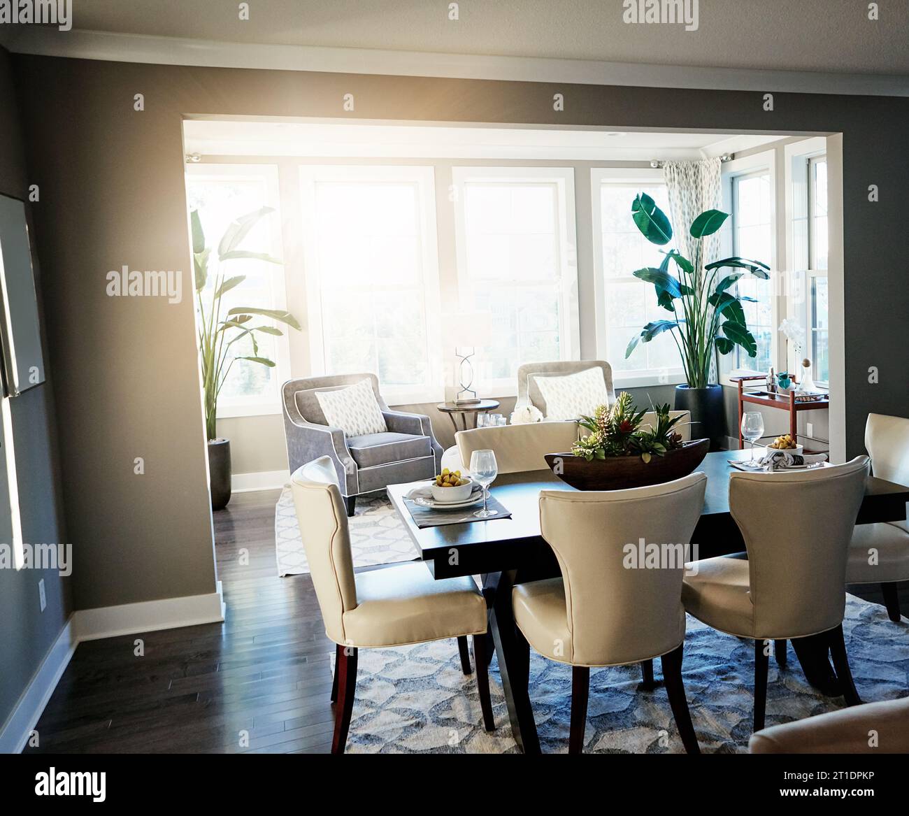 Intérieur de la maison, élégante salle à manger et maison moderne avec chaises, plantes et tapis dans l'espace. Mobilier propre, minimal et élégant en ouvert organisé Banque D'Images