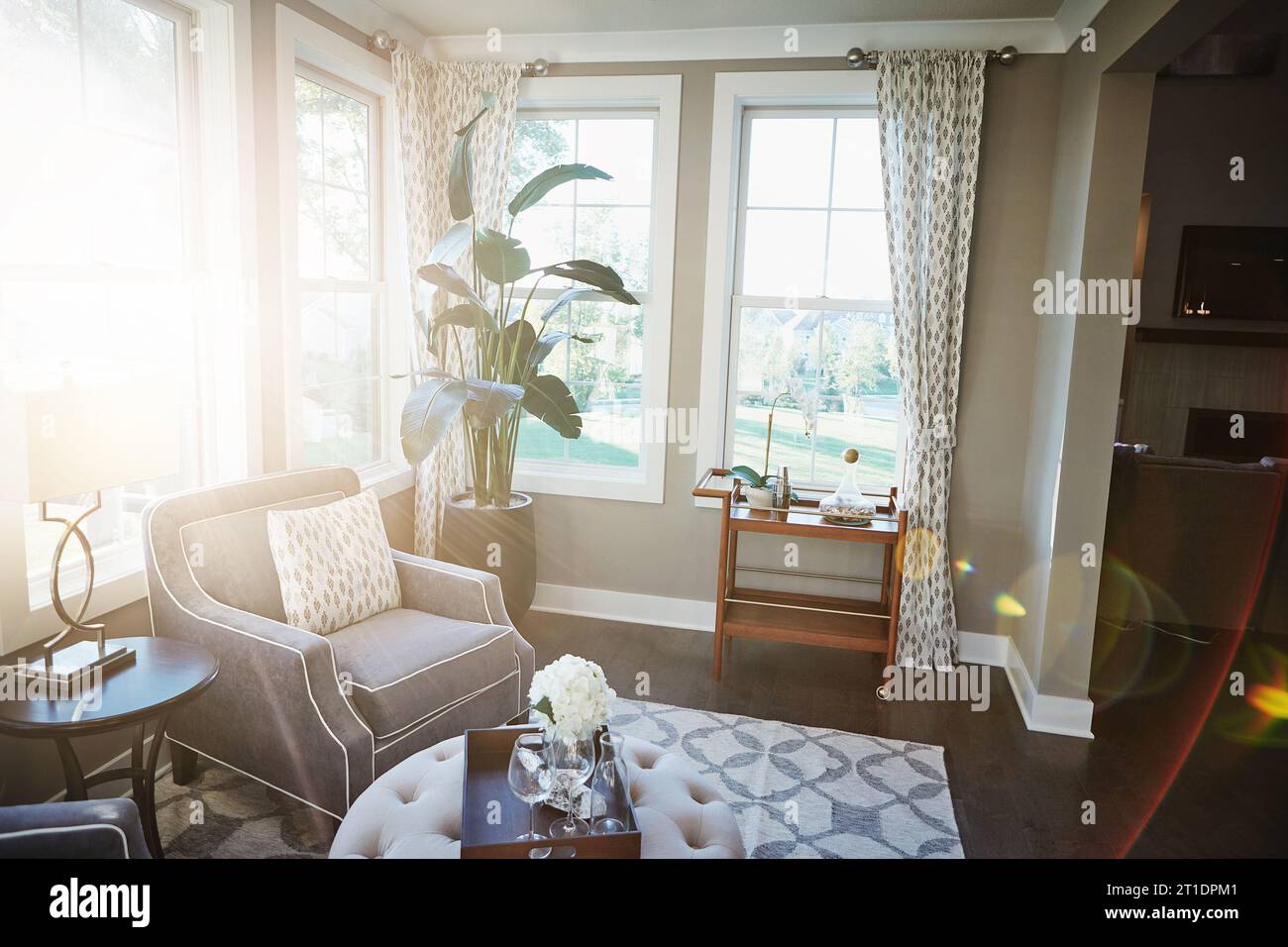 Intérieur de la maison, salon de luxe et appartement moderne avec chaises, plantes et tapis dans l'espace. Mobilier propre, minimal et élégant dans un cadre organisé Banque D'Images