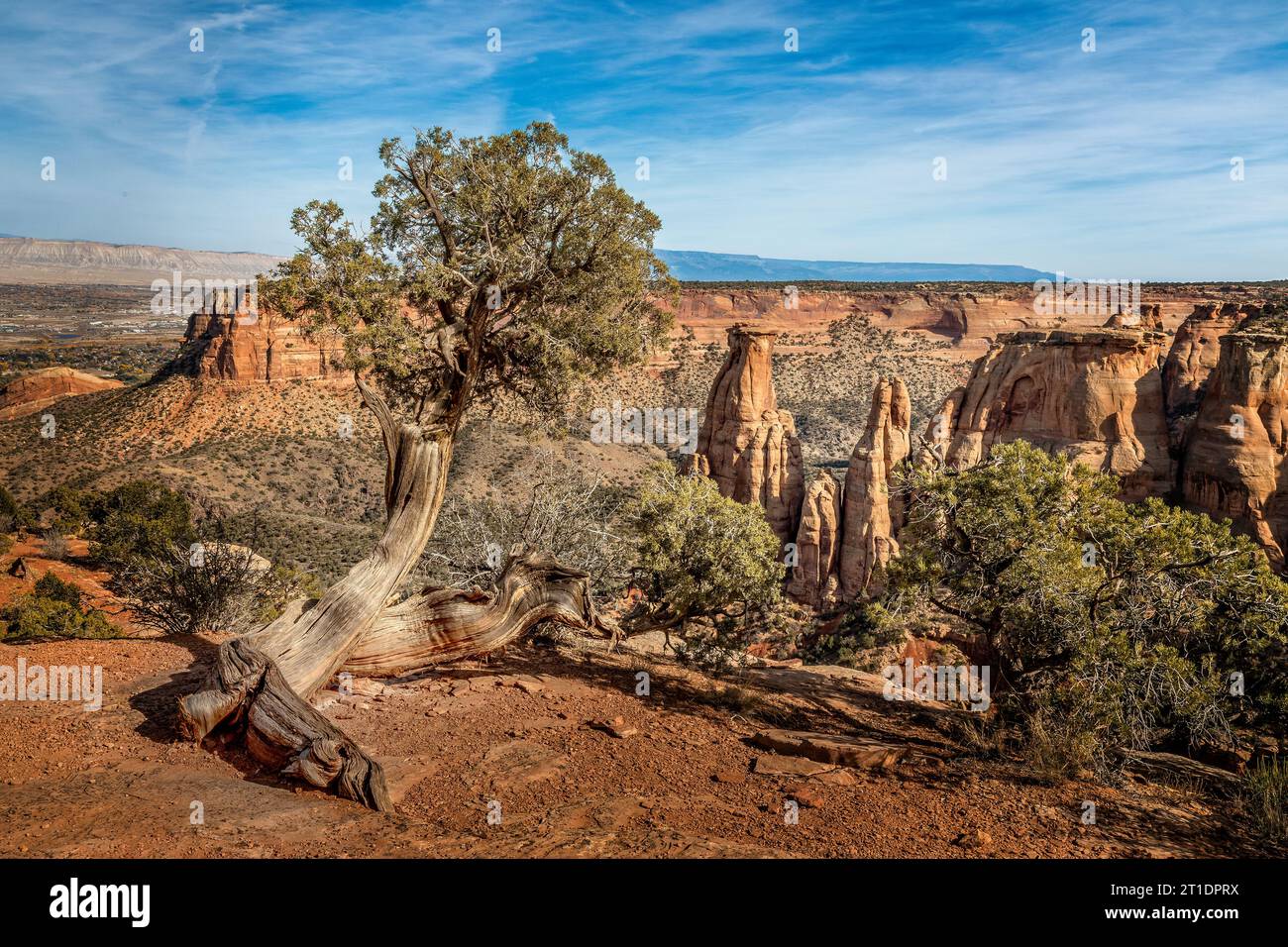 Magnifique paysage du parc national de Dead Horse point, Utah Banque D'Images