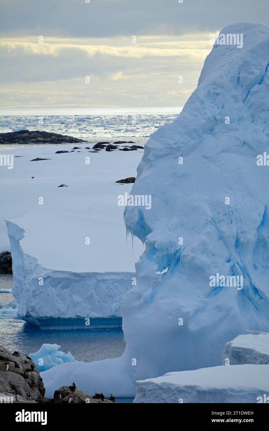 Antarctique ; péninsule antarctique à Petermann Island ; énorme iceberg juste au large de la côte ; innombrables banquises sur la mer Banque D'Images