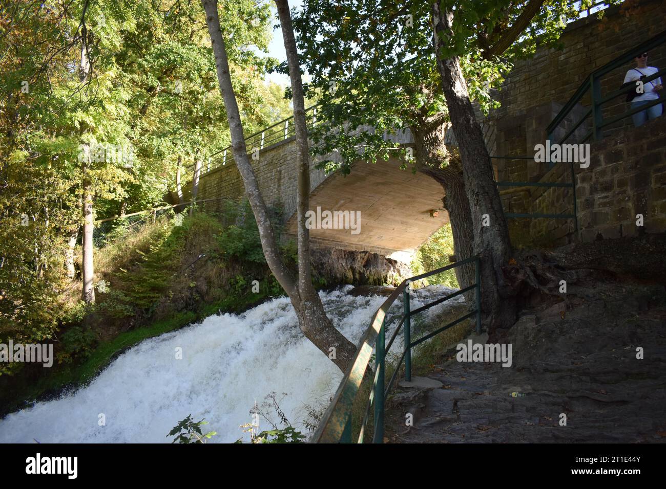 Cascade de Coo, Cascade dans les Ardennes en Belgique Banque D'Images