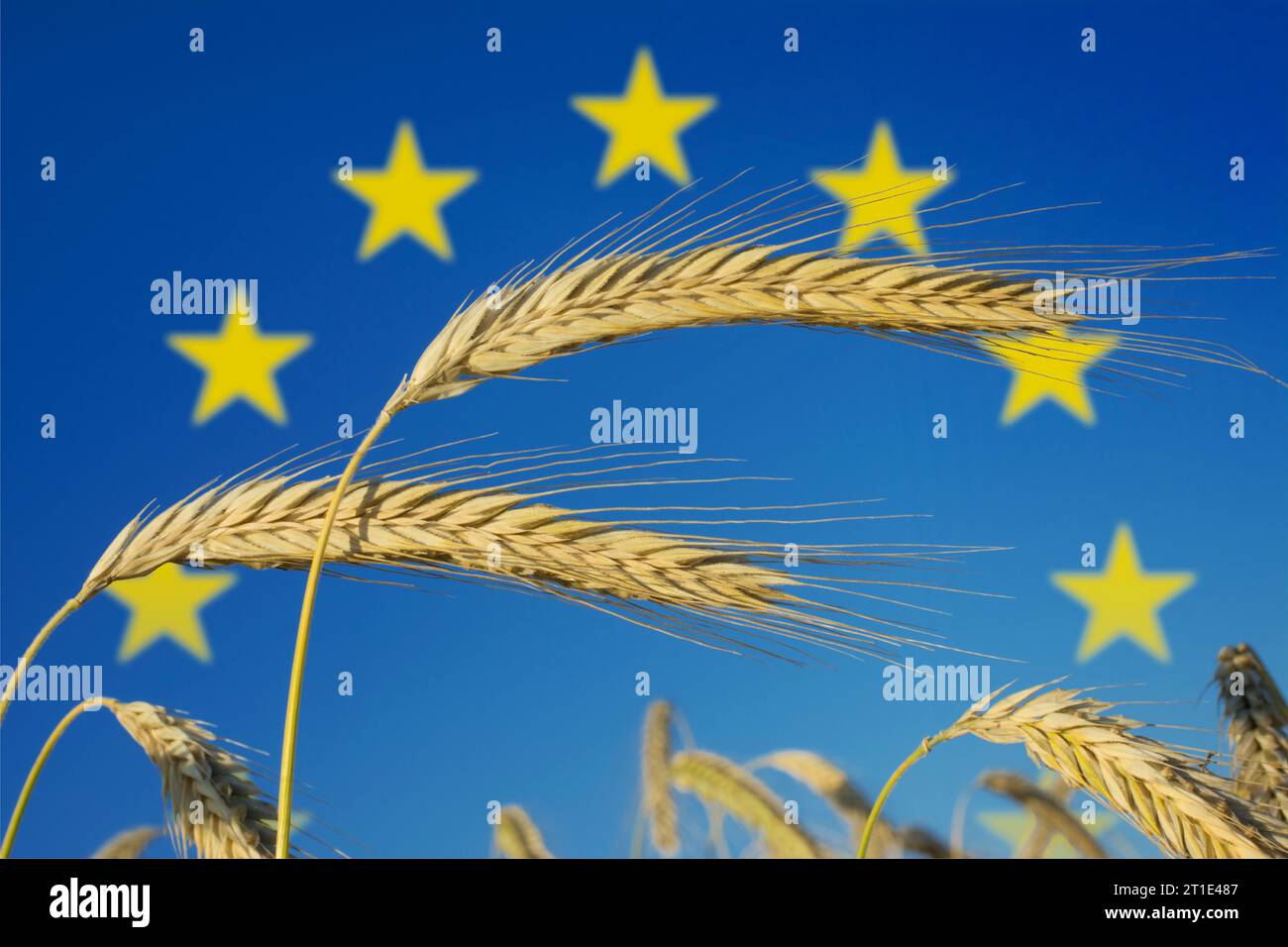 Image symbolique : l'UE et l'agriculture Banque D'Images