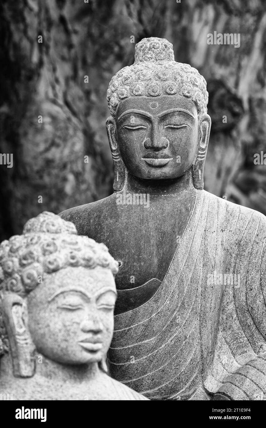 Sereinement belle statue de Bouddha sculptée dans la pierre de granit près des cinq Rathas à Mamallapuram, Tamil Nadu, Inde. Banque D'Images