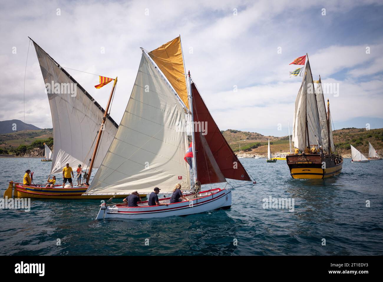 Régate « les voiles latines », vieux voiliers dans la baie de Paulilles. Barges catalanes entre Port-Vendres et Banyuls, septembre 2022 Banque D'Images