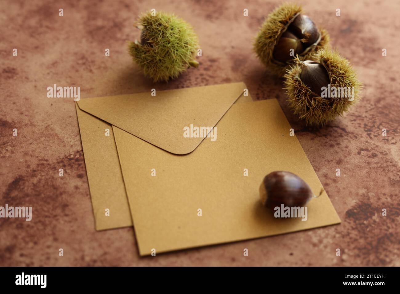 nature morte avec enveloppe brune et châtaignes comestibles Banque D'Images