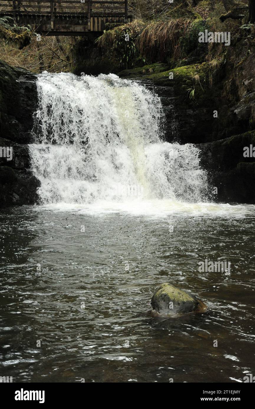 La principale (et dernière) cascade sur le Sychryd d'Afon.Environ 10 pieds de hauteur. Banque D'Images